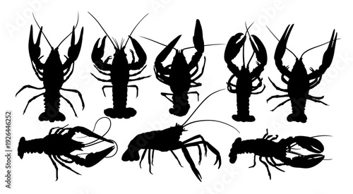 A set silhouettes of lobsters and crayfish.
