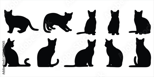 Set of black cat silhouettes in various sitting and standing poses on white background feline animal