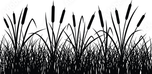 Cattail reeds and marsh grass silhouette border, wetland plants isolated on white background for nature design