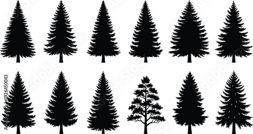 Evergreen pine tree silhouettes set, conifer forest trees isolated on white background for landscape design projects