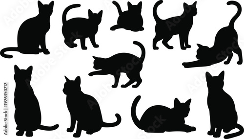 Collection of Black Cat Silhouettes in Different Poses on White Background feline animal