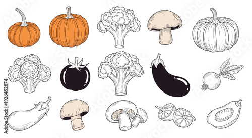 Detailed collection of various vegetables including pumpkin, broccoli, mushroom, and eggplant in a hand-drawn style.