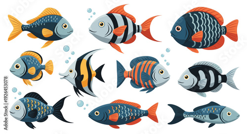 Detailed collection of diverse tropical fish with various body shapes and color patterns for marine life educational projects.