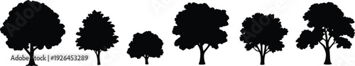 Six black silhouette trees of various shapes and sizes on a white background Keywords: tree, silhouette, black, white, nature
