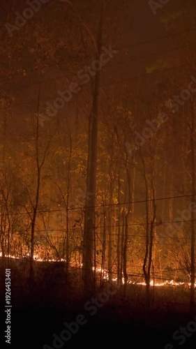 Tropical Wildfire Close-up Dolly Shot Burning Dry Leaves on Forest Floor.
