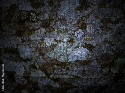 old wood background texture illustration
