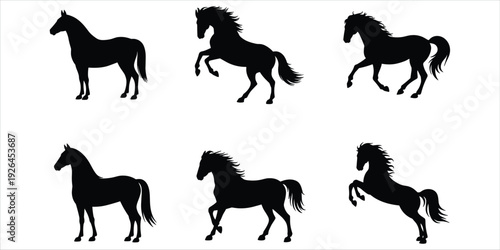 Six Black Horse Silhouettes in Various Poses on White Background animal equine