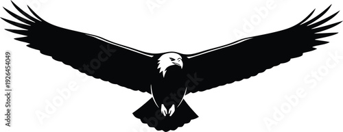 Bald Eagle Flying Downward Isolated on White Background