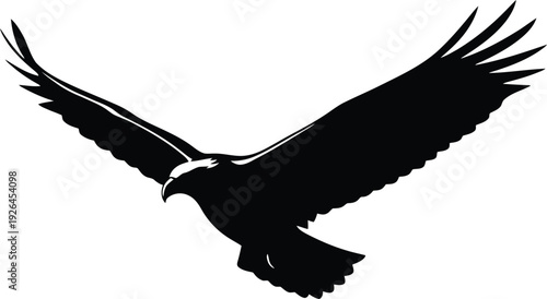 Black Eagle Flying Isolated on White Background Silhouette