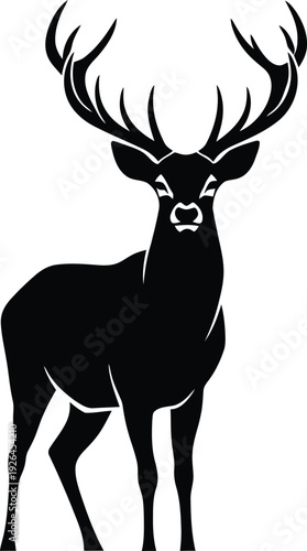 Deer Standing Isolated on White Background Silhouette
