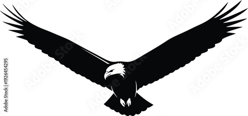 Bald Eagle Flying Isolated on White Background Silhouette