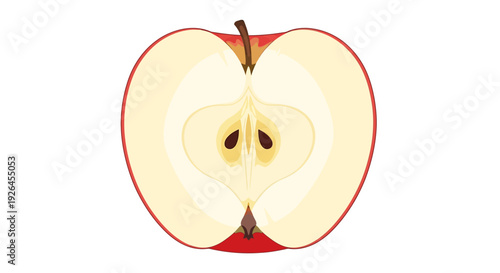 Vector illustration of a sliced red apple on white background