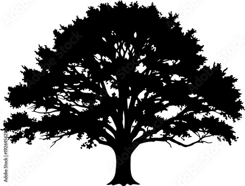 Mature Tree silhouette vector illustration