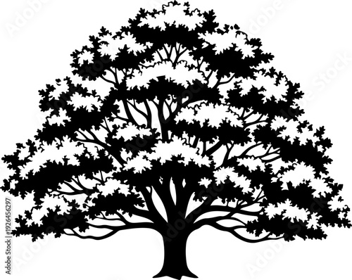Mature Tree silhouette vector illustration