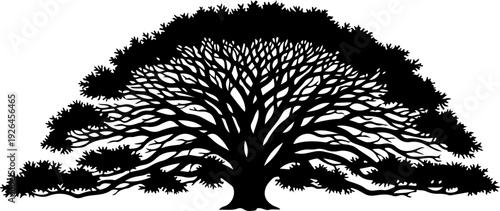 Mature Tree silhouette vector illustration