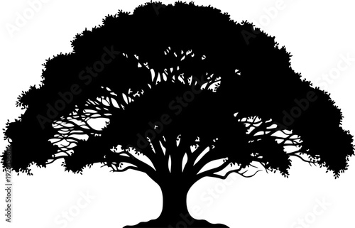 Mature Tree silhouette vector illustration