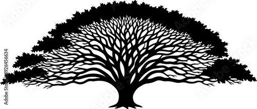 Mature Tree silhouette vector illustration