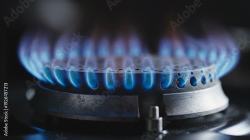 Close-up View of Blue Flame Gas Burner Cooking Flame