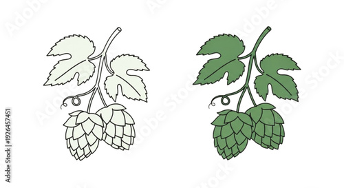 Hop Icon Set – Beer Brewing Ingredient Flat Vector Collection