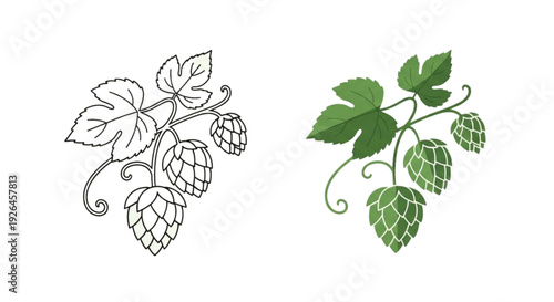 Hop Icon Set – Beer Brewing Ingredient Flat Vector Collection
