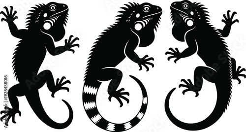 Black iguana silhouette vector illustration, reptile artwork design, stylized lizard motif, wildlife animal pattern, decorative nature-inspired artwork, stock content for educational graphics