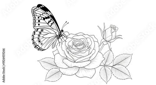  flower and buterfly