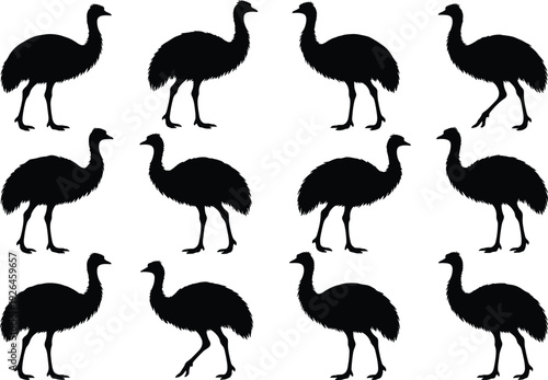 Emu silhouette vector illustration, black and white bird design, wildlife animal artwork, side profile posture variations, rural nature theme, Australian flightless bird graphic