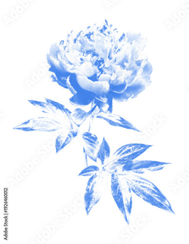 Vintage Halftone Peony Flower. Blue Cyanotype Style Dithered Botanical Bloom collage scrapbook element. Vector Illustration.