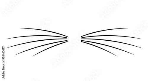 Minimalist black cat whiskers on white background illustration