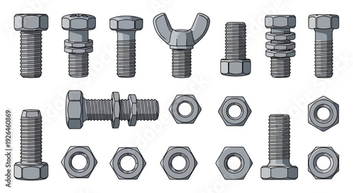 Set of Various Metal Bolts and Nuts in Vector Illustration