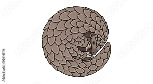 Illustration of a curled pangolin with detailed scales