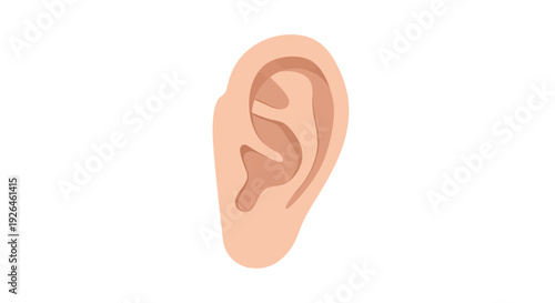 Minimalist Vector Illustration of Human Ear on White Background