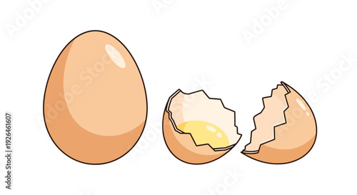 Illustration of Whole and Cracked Egg with Yolk on White Background