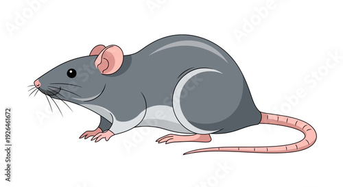 Cartoon gray mouse in side view on white background