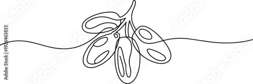 Continuous line design of hand drawn date fruits. Iftar design concept. Islamic holidays. one line Icon drawing