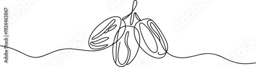 Continuous line design of hand drawn date fruits. Iftar design concept. Islamic holidays. one line Icon drawing