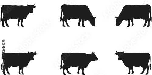Set of black cow silhouettes in different poses including standing and grazing isolated on white background for farm animal design.