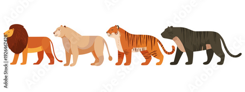 vector illustration of a lion and tiger flat style vector illustration isolated on white background