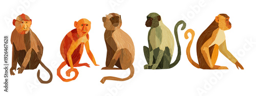 vector illustration of a set of monkeys