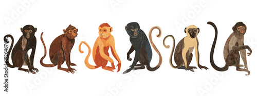 vector illustration of a set of monkeys