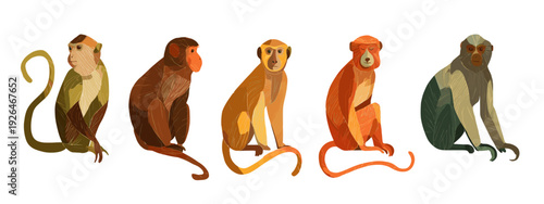 vector illustration of a set of monkeys