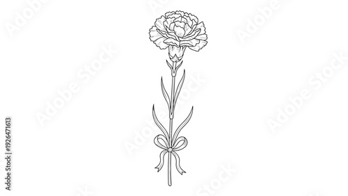 Elegant monochrome line drawing of a single carnation flower with a decorative ribbon tied around its long stem.