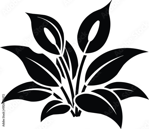 The image is a black and white graphic illustration of a peace lily plant, characterized by its elegant and stylized design.