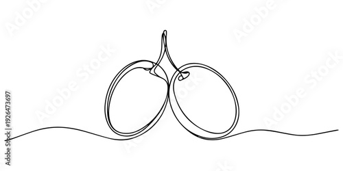 Continuous one single line drawing of two olives on branch, Continuous line drawing of olive branch with two olives and leaves minimalist organic fruit sketch for nature and healthy food design, pro.
