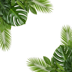 Tropical green leaves arranged in a corner border on white background