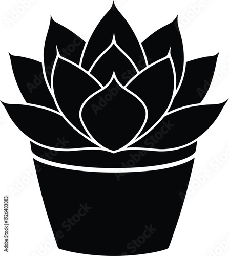 Succulent Plant In Pot Vector Illustration