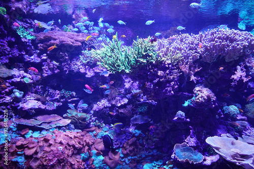 Oceanographic museum in modern Valencia