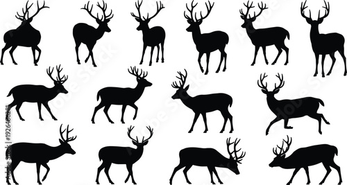 Deer silhouette illustration, antler animal vector, wildlife posture set, hunting design, stag silhouette art, forest nature icon collection