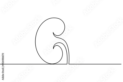 Human kidney outline vector illustration created with a single continuous line minimalist art