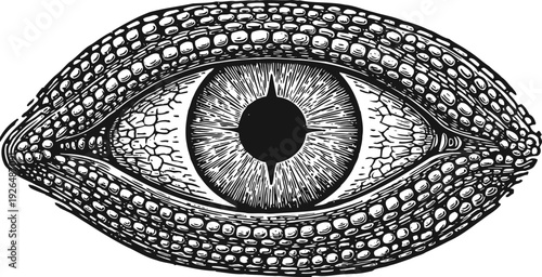 Intricate surreal eye illustration with textured reptilian skin surrounding iris and detailed pupil engraving